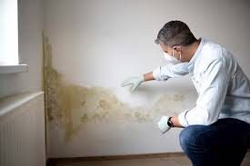 Asbestos and Lead Testing During Mold Inspection in Missouri City, TX